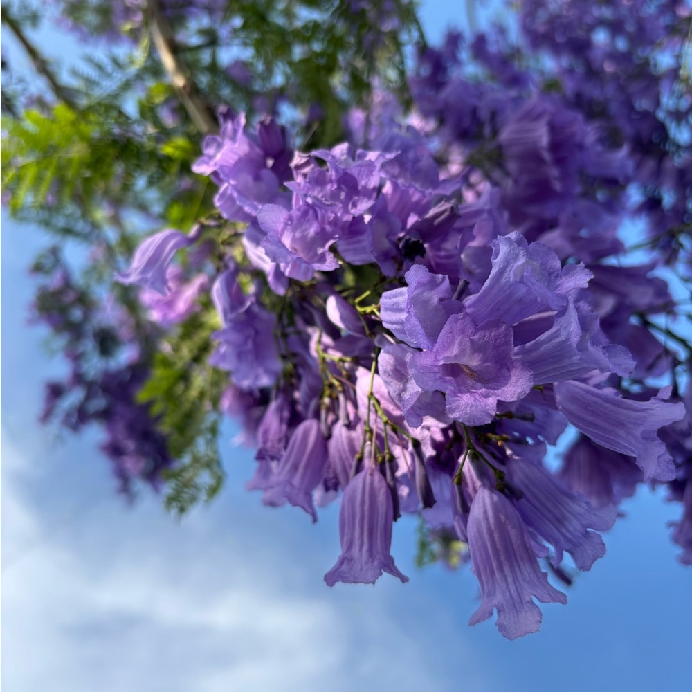 Meet your Posher, Jessi